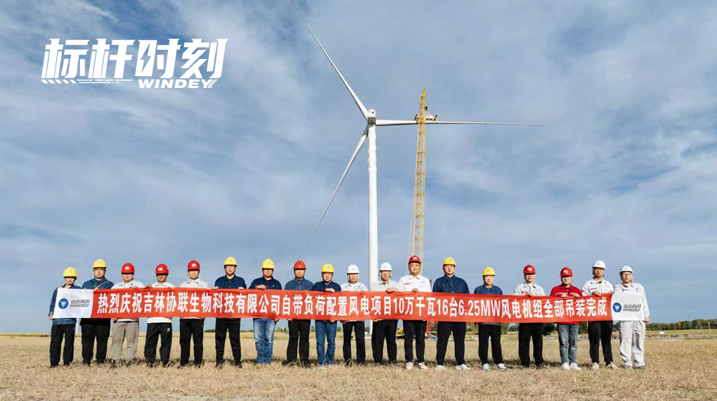 【标杆时刻】提前120天！龙八国际&ldquo;赋能&rdquo;全球最大绿色柠檬酸生产基地